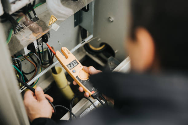 Best Electrician for Home Renovation  in Manton, MI