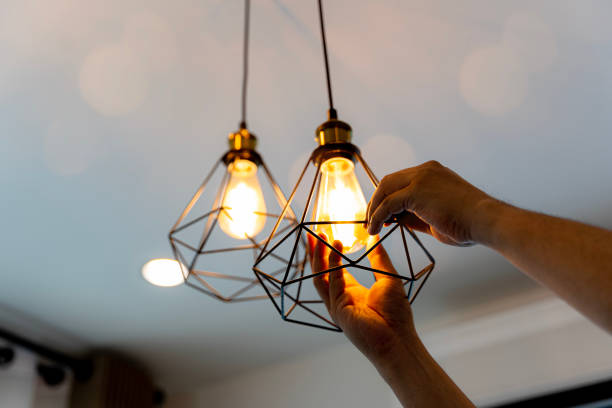 Best Affordable Electrician  in Manton, MI